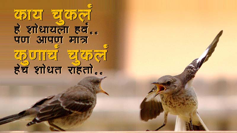 Falut Calligraphy Post