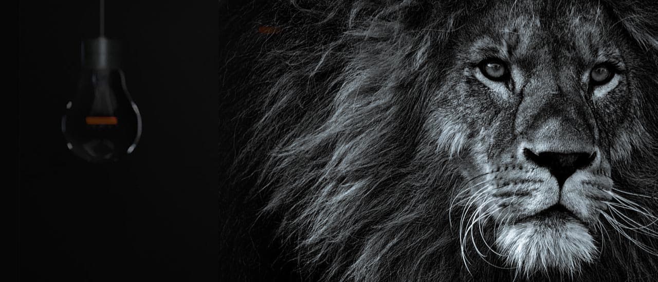 Powerful UI/UX  makes a Powerful Website