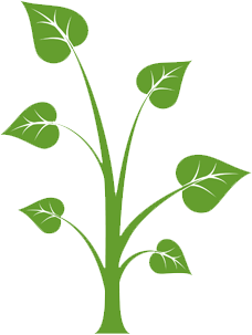 Testing & Content Updating