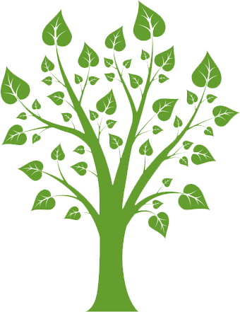 Launch & Maintenance